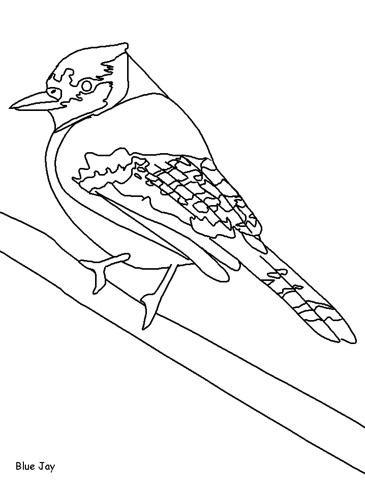Plansa de colorat cu Pasari 152 60